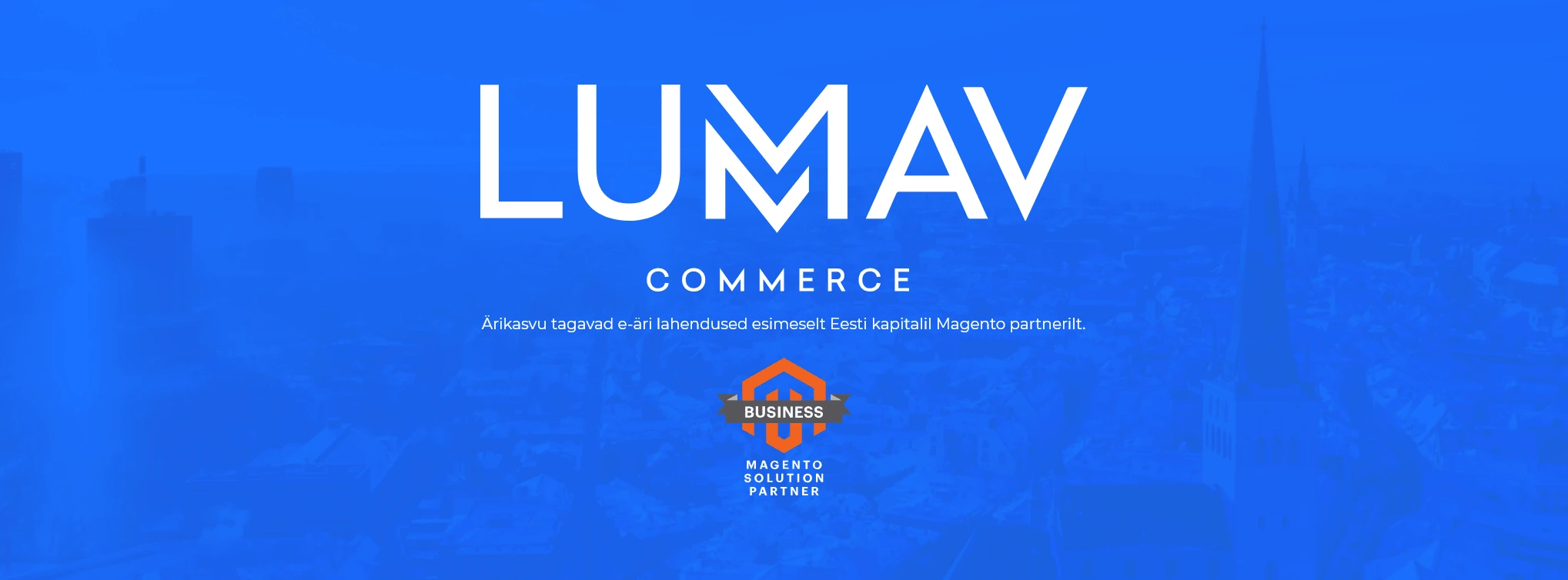 Lumav online store development analysis work process